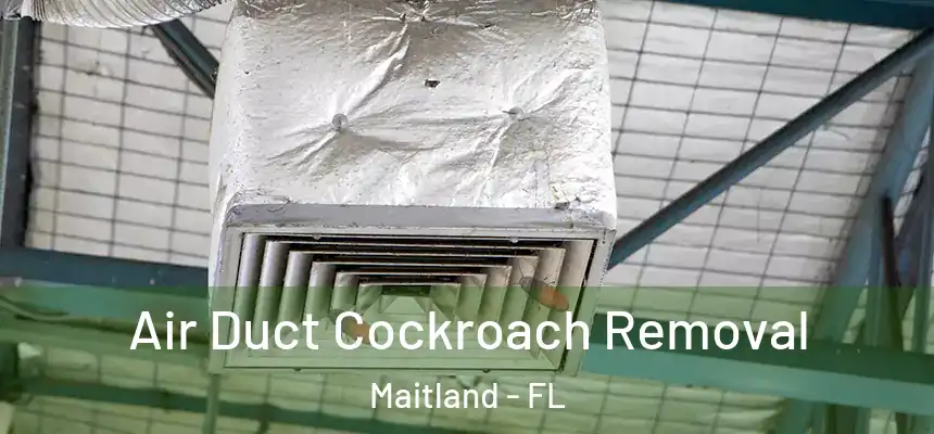 Air Duct Cockroach Removal Maitland - FL