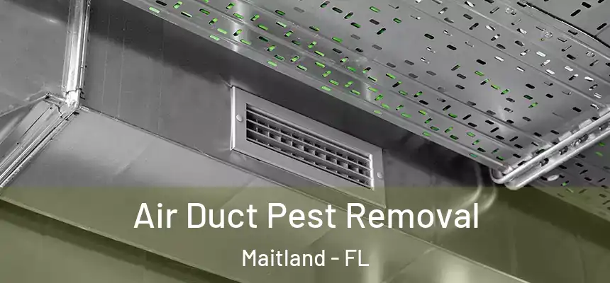 Air Duct Pest Removal Maitland - FL