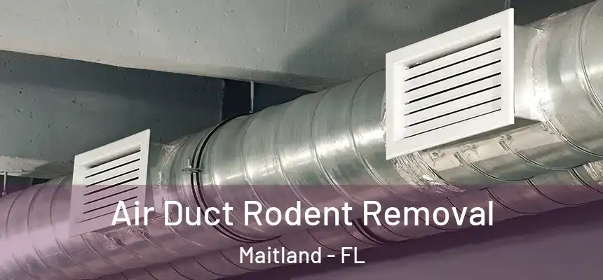 Air Duct Rodent Removal Maitland - FL