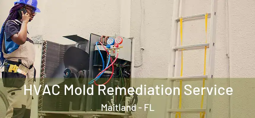  HVAC Mold Remediation Service Maitland - FL