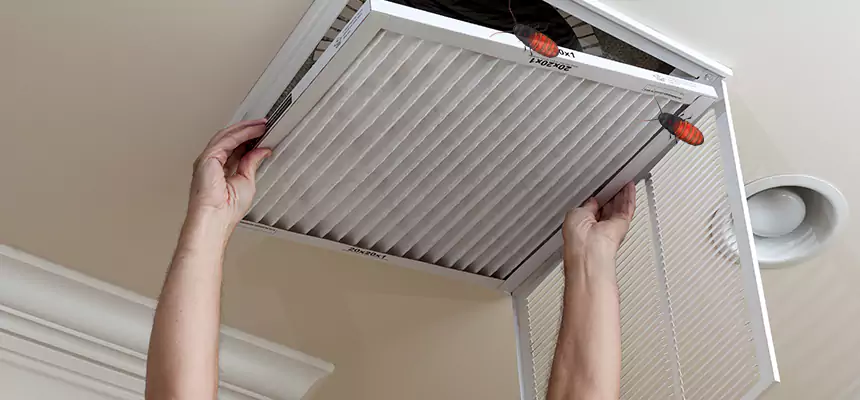 Preventive Cockroach-Proofing for Ducts in Maitland