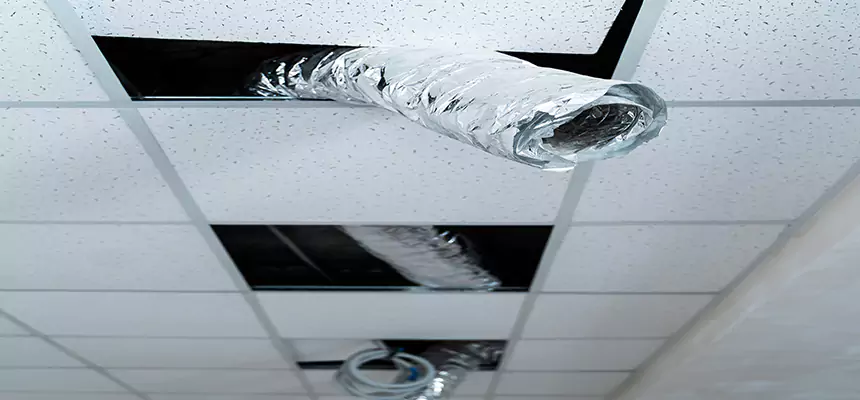 Affordable HVAC Sanitizing After Pest Removal in Maitland