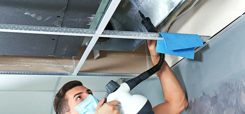 Our Air Duct Rodent Removal Services in Maitland, FL