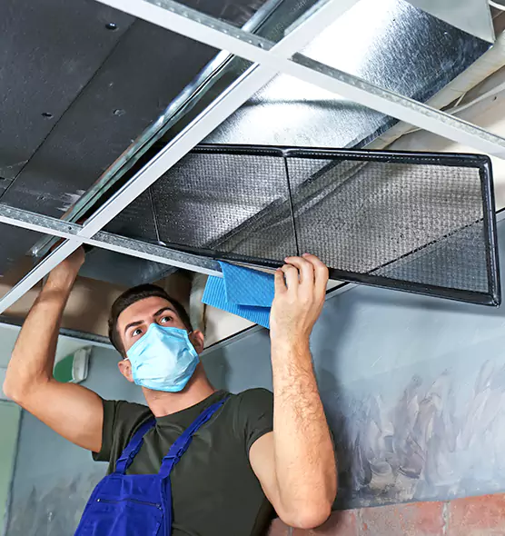 About Air Duct Bacteria Removal in Maitland