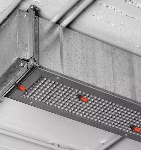About Air Duct Cockroach Removal in Maitland, FL