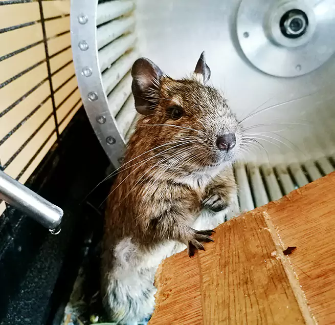 Why Homeowners & Businesses Trust Us Maitland, FL