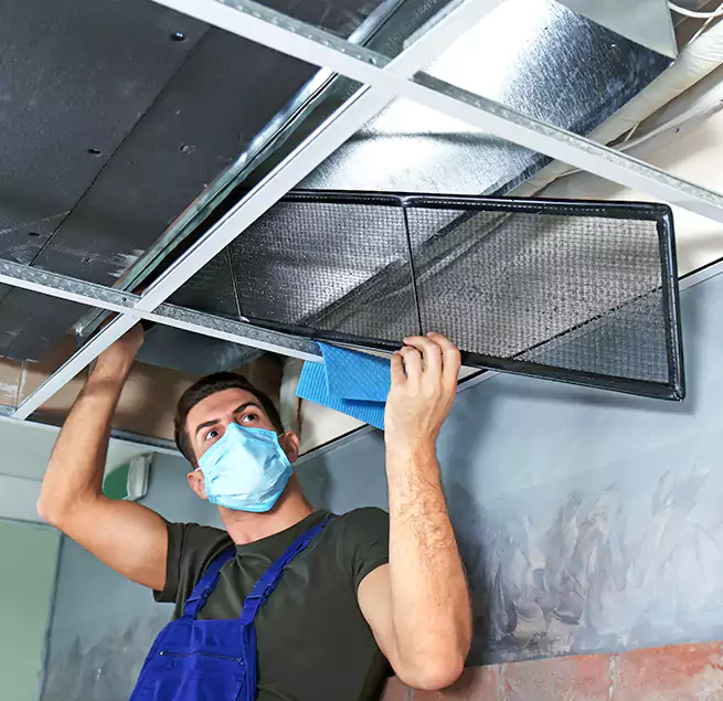 Why Homeowners Businesses Trust Us in Maitland, FL