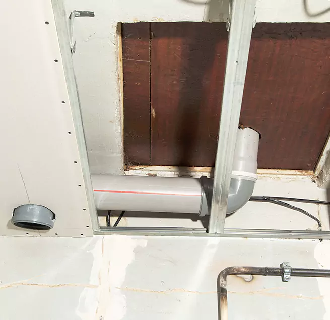 Why Homeowners & Businesses Trust Us in Maitland, FL?