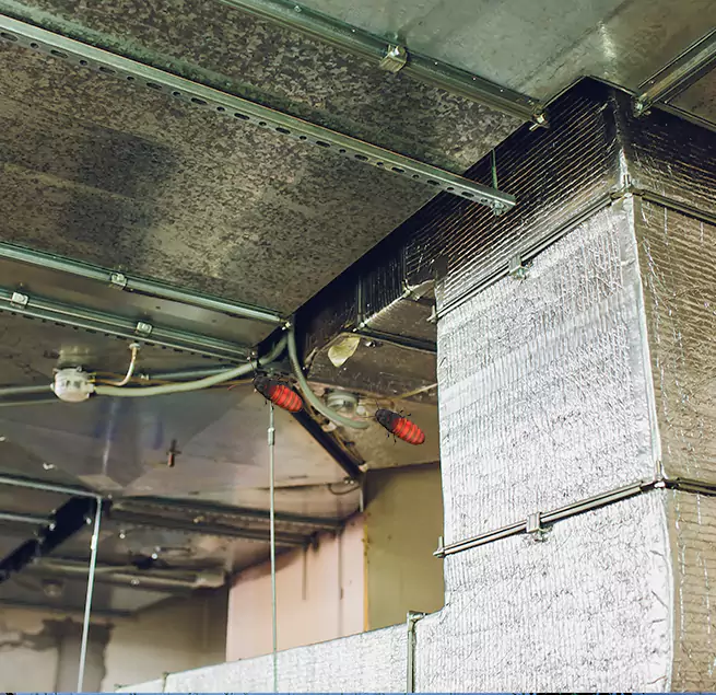 Why Homeowners & Businesses Trust Us Maitland, FL?