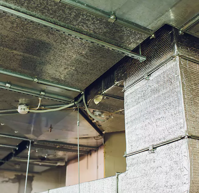 Why Homeowners & Businesses Trust Us in Maitland, FL?